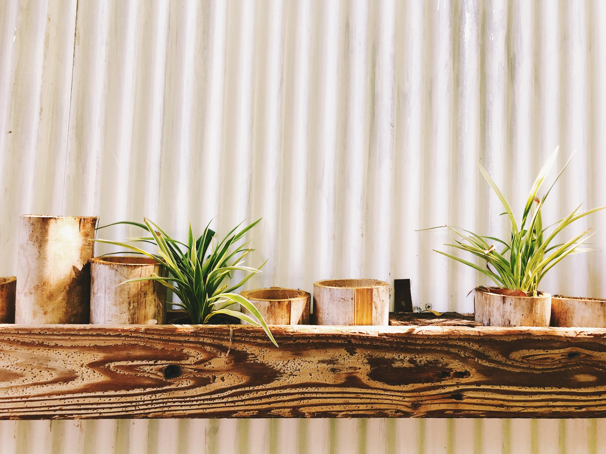 Cozy studio reception with wooden counter